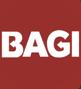 Bagi Professional Solutions